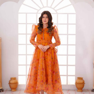 Home luxury printed organza frock dress with elegant lace