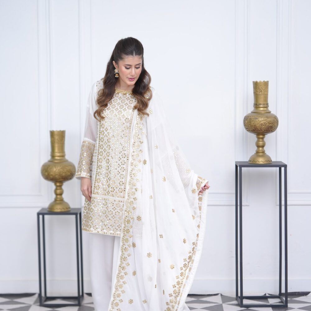 chiffon mirror embroidery 3 pcs