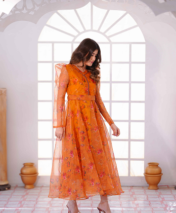 Luxury Printed Organza Frock Dress with Elegant Lace�Detailings