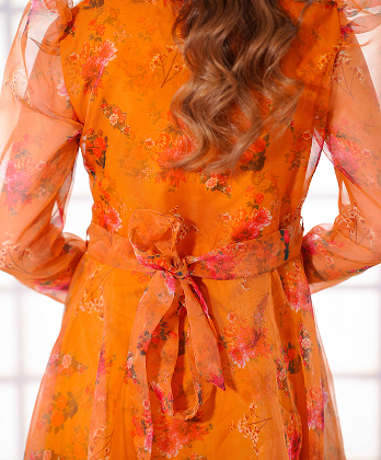 Luxury Printed Organza Frock Dress with Elegant Lace�Detailings