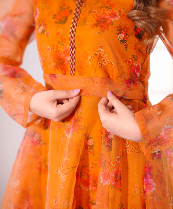 Luxury Printed Organza Frock Dress with Elegant Lace�Detailings