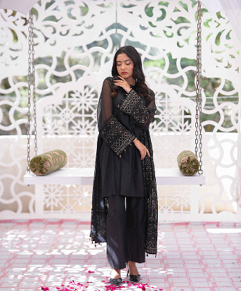 Stylish Court Style Black Dress for Special�Occasions